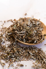 Herbs Iceland moss Cetraria islandica. dry Icelandic moss.