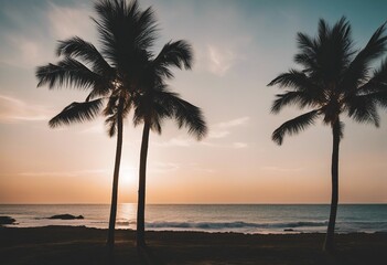 Coastal Beauty Beachfront Resort with Palm Trees and Ocean Views