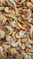 Chilled boiled shrimp in a supermarket or grocery store, close-up. Seafood
