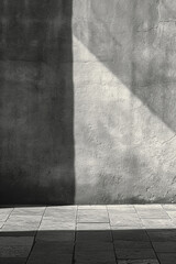 A minimalist scene of a lone, stark shadow against a bright wall, conveying mystery or presence,
