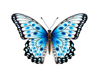 Close-up of a beautiful butterfly from above. The butterfly is a color combination of light blue, black and white. They are isolated within a white-colored background. Created with Generative AI.