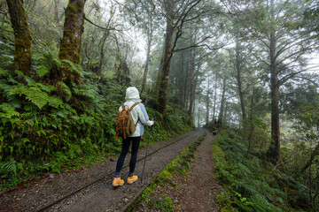 Obraz premium Woman go hiking in foggy mist forest