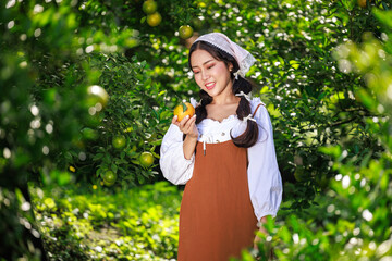 Woman in vintage dress happily picking fresh oranges in the orchard during the harvest.