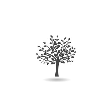 Tree of live  icon with shadow