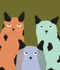 Obraz premium A trio of Funny Faced, Relax, Cynical Eyed Cats