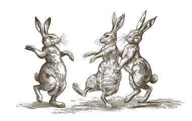 Three dancing easter bunnies. Celebration dance. Easter image. Vintage engraving