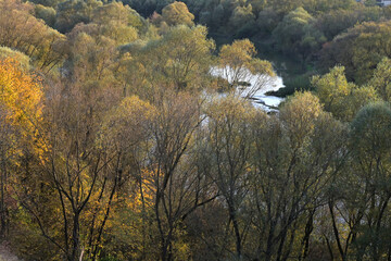 The high banks of the river overgrown with willows in the light of the setting sun.