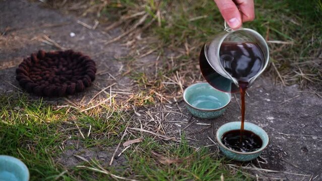 a relaxing ritual of making tea in the forest. Tea lovers brew it in the forest

