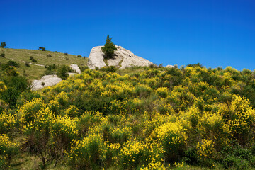 Mountain landscape near Pietrapertosa, Italy