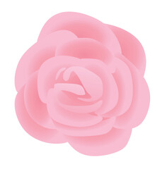 Pink rose petals. vector illustration