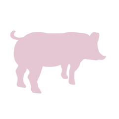 Fototapeta premium cute pig in different 