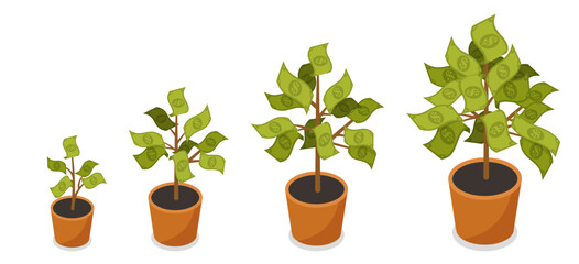 Obraz premium Money tree growth vector set