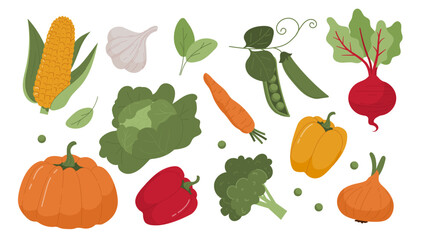 Set of vegetables vector
