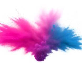 pink and blue feathers