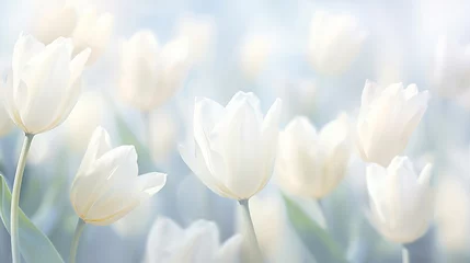 Rolgordijnen photo white tulips on a light blurred backgron © vista