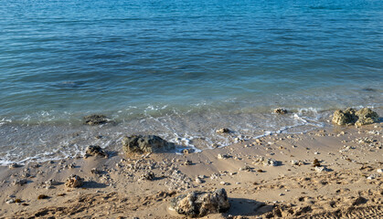 Closeup of a Rock, Sand and Coral Ocean Shoreline in Honolulu, Hawaii.