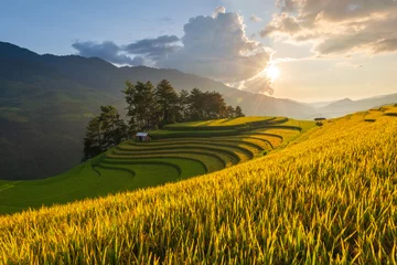 Rugzak Rice terrace in Mu Cang Chai, Vietnam © Satoriphotos