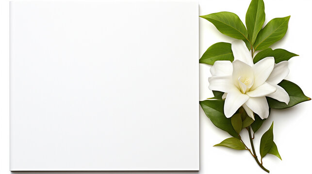 white paper with flower high definition photographic creative image