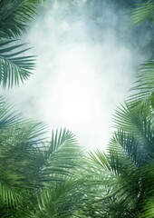 Sunlight Streaming Through Palm Tree Leaves