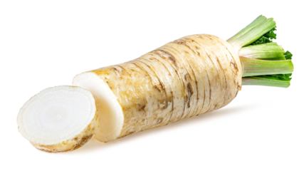 Fresh horseradish horseradish root isolated on white background.