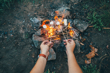 Marshmallows on two wooden sticks toasting in fire in the evening. Company cooking in camp