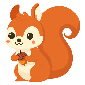 Cute squirrel with an acorn. Vector cartoon illustration