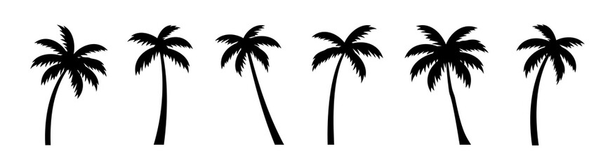 Palm tree silhouette. palm trees set. Vector © warmworld
