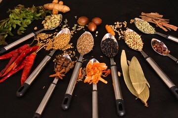 Indian traditional spices and herbs, whole spices, garam masala, curry masala mix, in spoons in...