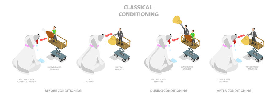 3D Isometric Flat  Conceptual Illustration of Classical Conditioning, Pavlovian Respondent Learn Scheme