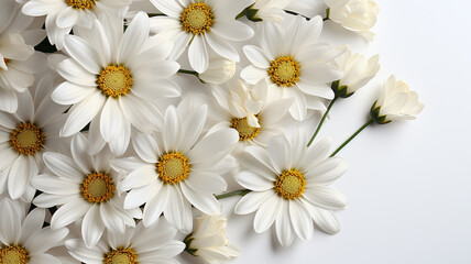 Fototapeta premium Bouquet of white daisies on a white background