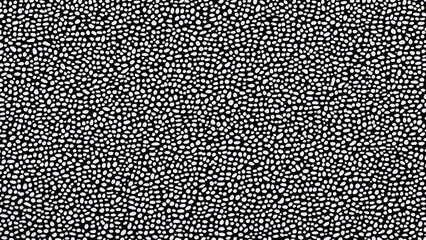 black and white pattern