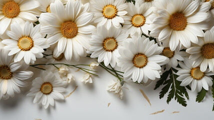 Obraz premium Bouquet of white daisies on a white background