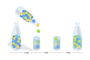3D Isometric Flat  Conceptual Illustration of Bottleneck Effect, Population Impact © TarikVision