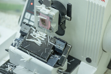 A medical scientist prepares a pathological specimen for a pathologist to diagnose.