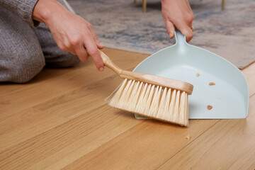 Close up image of woman's hands cleaning apartment with small broom and dustpan	