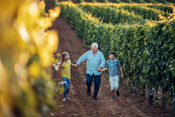 Happy grandfather and grandchildren walking through a vineyard