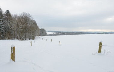Winter landscape with forest trees, wooden fence and snow covered field