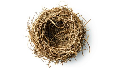 bird nest isolated on white background