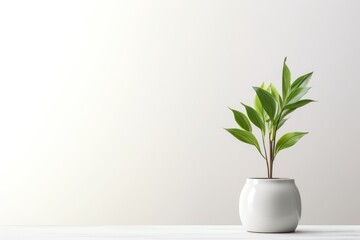 Lush Green Plant Leaves in a Sleek Ceramic Vase