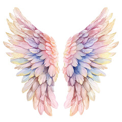Obraz premium watercolor angel wings