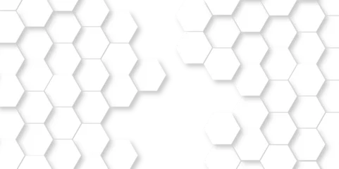 Fotobehang Seamless pattern with hexagonal white and gray technology line paper background. Hexagonal vector grid tile and mosaic structure mess cell. white and gray hexagon honeycomb geometric copy space. © MdLothfor