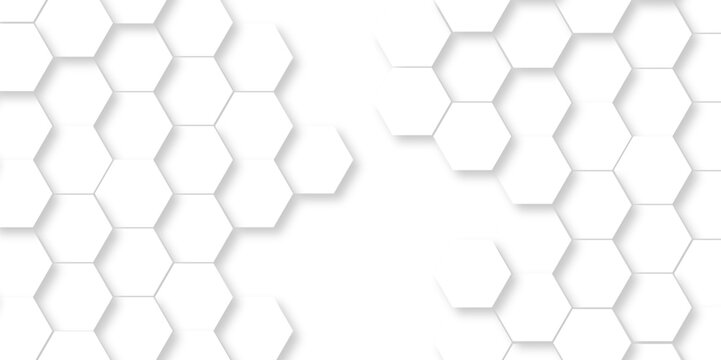 Seamless pattern with hexagonal white and gray technology line paper background. Hexagonal vector grid tile and mosaic structure mess cell. white and gray hexagon honeycomb geometric copy space.