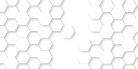 Obraz na płótnie Canvas Seamless pattern with hexagonal white and gray technology line paper background. Hexagonal vector grid tile and mosaic structure mess cell. white and gray hexagon honeycomb geometric copy space.