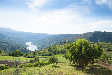 Fototapeta premium Ribeira Sacra landscape, Galicia, Spain panorama