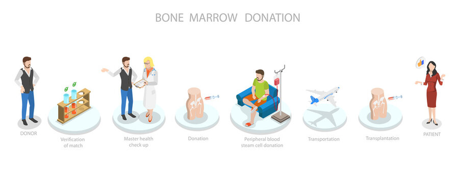 3D Isometric Flat  Conceptual Illustration of Bone Marrow Donation And Transplantation, Medicine and Health Care