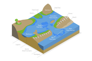 3D Isometric Flat  Conceptual Illustration of Barrier Island System, Educational Diagram