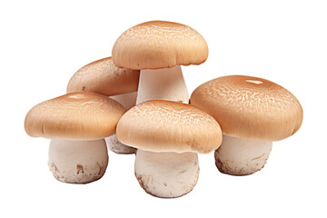 group of mushroom isolated, Isolated on tran sparent PNG background, Generative ai - obrazy, fototapety, plakaty