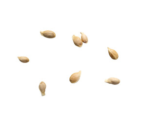 Orange seeds isolated on white
