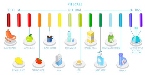 3D Isometric Flat  Conceptual Illustration of PH Scale, Food Acidity Chart