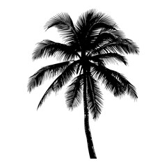 silhouette coconut tree black color only